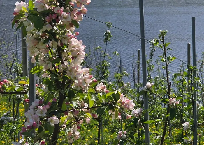 Vassel Gård Semesterbostad